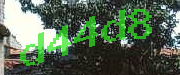 Sorry, this is a captcha