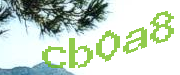 Sorry, this is a captcha