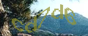 Sorry, this is a captcha