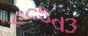 Sorry, this is a captcha