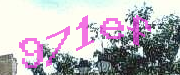Sorry, this is a captcha