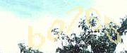Sorry, this is a captcha