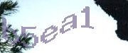 Sorry, this is a captcha