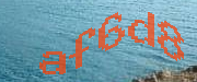 Sorry, this is a captcha