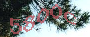 Sorry, this is a captcha
