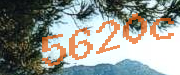 Sorry, this is a captcha