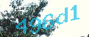 Sorry, this is a captcha
