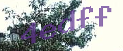 Sorry, this is a captcha