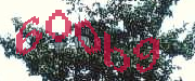 Sorry, this is a captcha