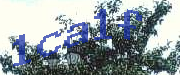 Sorry, this is a captcha