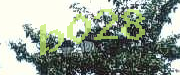 Sorry, this is a captcha