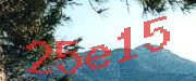 Sorry, this is a captcha